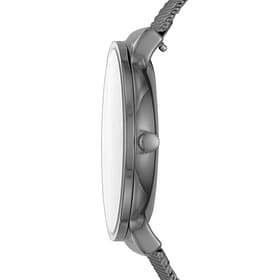 Montre Homme SKAGEN en Acier Gris Etanche