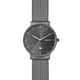 Montre Homme SKAGEN en Acier Gris Etanche