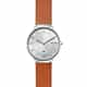 Montre Homme SKAGEN en Cuir Marron Etanche