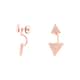 Boucles d'oreilles CLEOR en Argent 925/1000 Rose et Oxyde