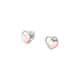 Boucles d'oreilles CLEOR en Argent 925/1000 Bicolore - vue 1 - CLEOR