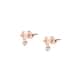 Boucles d'oreilles ROSELINE en Argent 925/1000 Rose et Oxyde - vue 1 - CLEOR