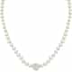 COLLIER CLEOR B-CLASSIC - P.204610000500