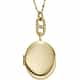 COLLIER FOSSIL HERITAGE - JF04426710