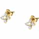 BOUCLE CLEOR PETALI - P.31T601002700