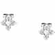 BOUCLE CLEOR PETALI - P.31T601002600