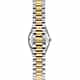 MONTRE PHILIP WATCH CARIBE URBAN MINI - R8253597687