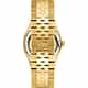 MONTRE PHILIP WATCH WINDSURF - R8253533001