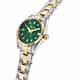 MONTRE SECTOR 240 - R3253240548