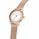 MONTRE MORELLATO NINFA - R0153168506