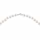 COLLIER CLEOR B-CLASSIC - P.77C910004300