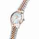 MONTRE PHILIP WATCH GRACE - R8253208524
