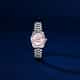 MONTRE PHILIP WATCH CARIBE URBAN - R8253597678