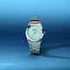 MONTRE SECTOR C300 - R3253301004