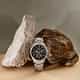 MONTRE SECTOR 660 - R3273617009