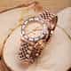 MONTRE SECTOR 230 - R3253161544