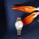 MONTRE TRUSSARDI CITY LIFE - R2453170501
