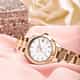 MONTRE LUCIEN ROCHAT MADAME - R0453114514