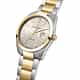 MONTRE LUCIEN ROCHAT LEMAN - R0453114001