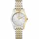 MONTRE D&rsquo;AMANTE ECLYPSE - R0253105502