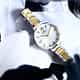 MONTRE MORELLATO POETICA - R0153172502