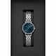 MONTRE DANIEL WELLINGTON PETITE - DW.DW00100664