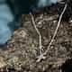 COLLIER MORELLATO DIAMONDS - SAYE01
